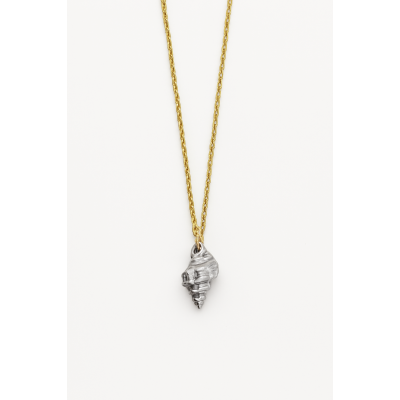 Κολιέ  Κοχύλι